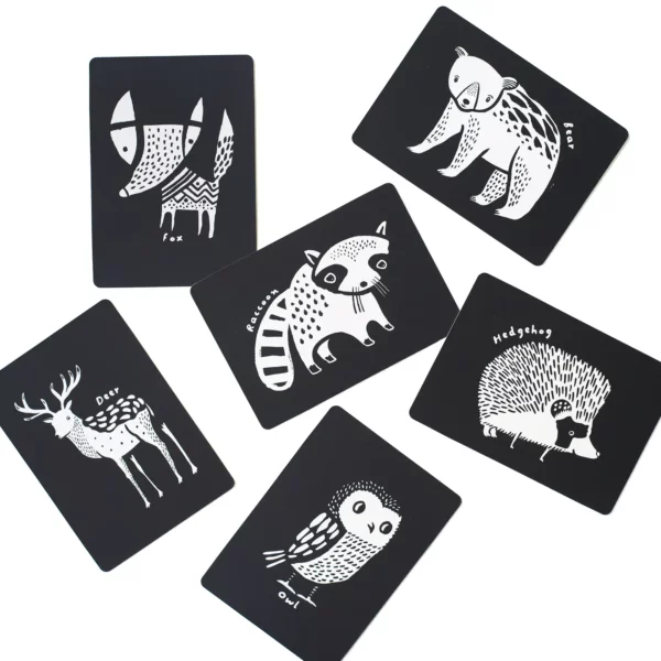 Wee Gallery Art Cards Woodlands Collection