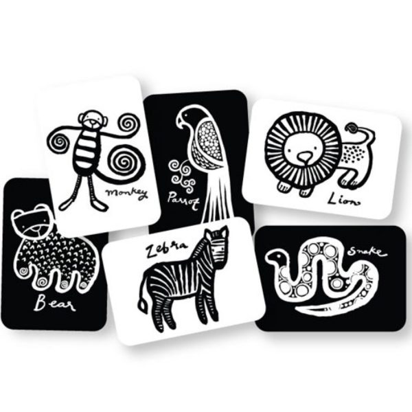 Wee Gallery Art Cards Jungle - Afbeelding 3