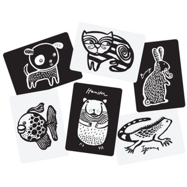 Wee Gallery Art Cards Pets - Afbeelding 3