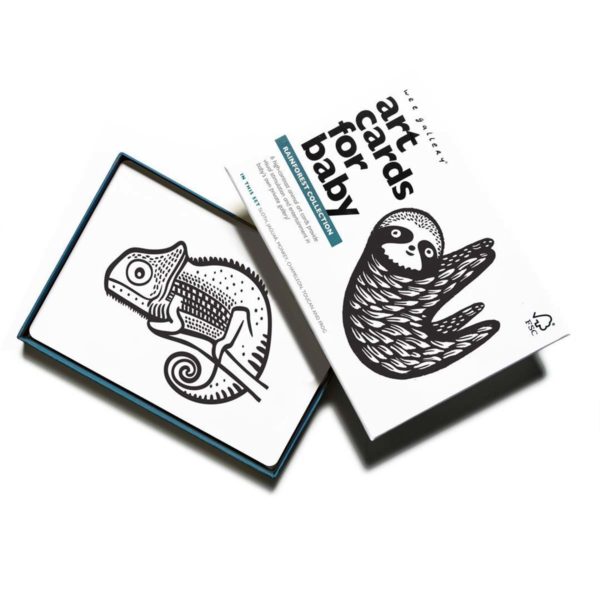 Wee Gallery Art Cards Rainforest