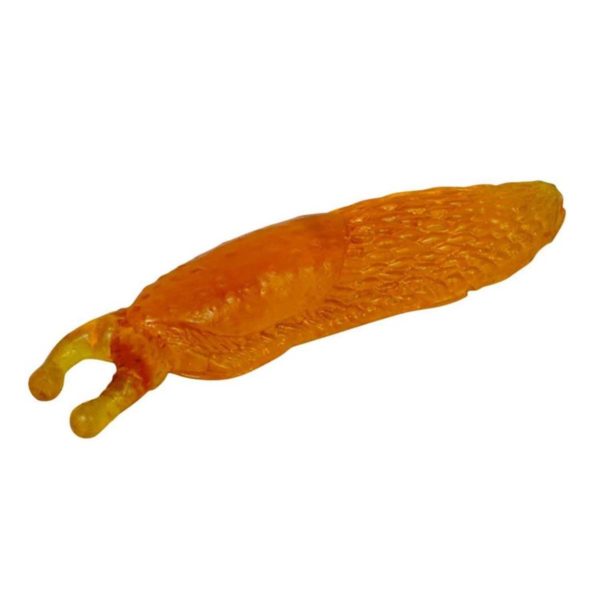 Glibberige naaktslak