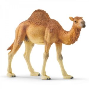 Schleich Dromedaris