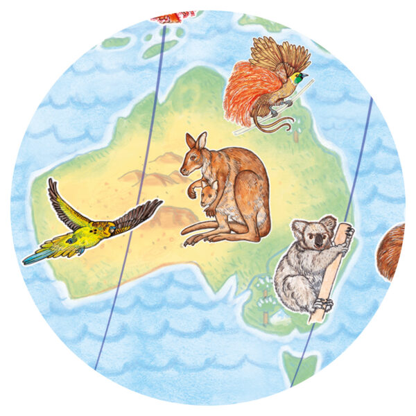 Djeco Observatie Puzzel Dieren van de Wereld 100 pcs - Afbeelding 4