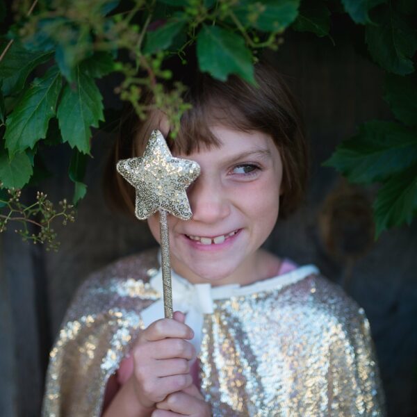 Great pretenders Gracious Gold Sequins Set