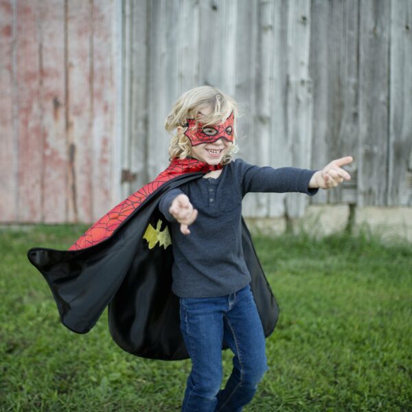 Great Pretenders Reversible Spider/Bat Cape