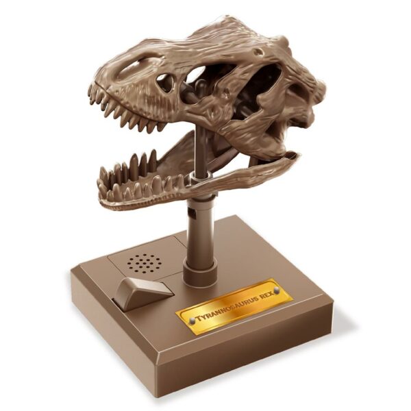 4M Kidzrobotix Brullende T-rex Schedel