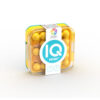 SmartGames IQ Mini