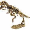 Dino uithakset met figuur T-Rex
