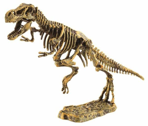 Dino uithakset met figuur T-Rex