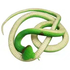 Rex London Box of sticky poo