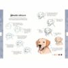 Honden - Tekenen in 10 stappen - Afbeelding 3