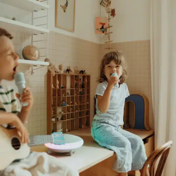 KidyWolf KIDYKARAOKE Karaoke luidspreker met 2 microfoons