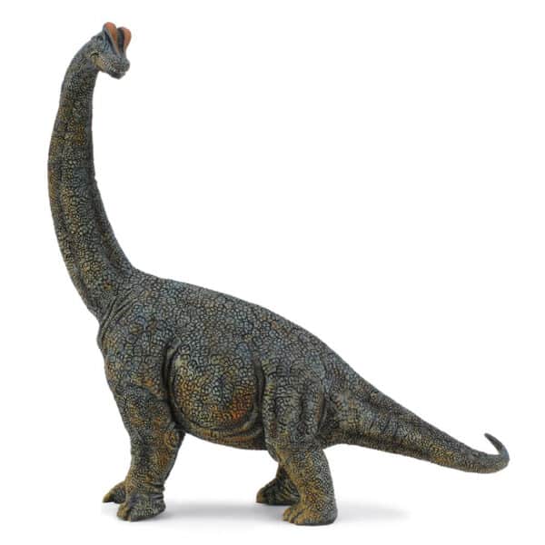 Collecta Prehistorie BRACHIOSAURUS