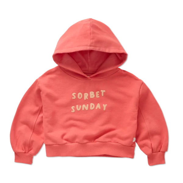 Sproet & Sprout Sproet & Sprout Cropped Hooded Sweatshirt Rose Petal 1138187233825 Sproet SS25 Kleding & Accessoires Sweaters & Truien  Wijs west