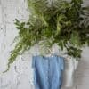 1+ in the Family 1+ In The Family Romper Carlo Denim 8448251019143 Family SS25 Kleding & Accessoires Baby Rompers Wijs west