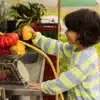 Sproet & Sprout Sweatshirt Terry Stripes Citrus