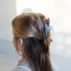 Mimi & Lula Mimi & Lula Dolphin Claw Clips 5060925059410 Mimi SS25 Verzorging Haaraccessoires Haarspeldjes Wijs west