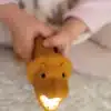 Rabbit&Friends Flashlight Buddy Lion