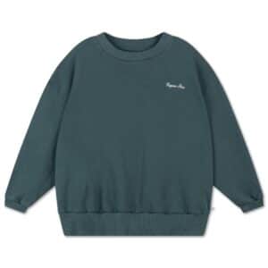 Repose AMS Repose Ams 14. Cozydrop Sweater Country Green 8721339604227 AW25 Repose Kleding & Accessoires Sweaters & Truien  Wijs west