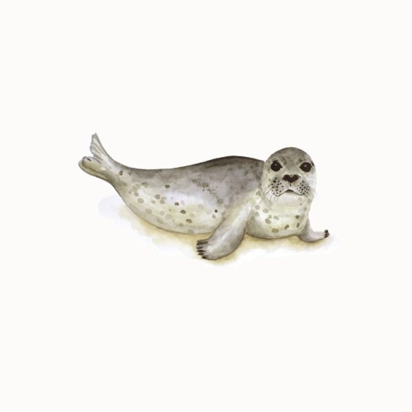 Days of Bloom Wenskaart Zeehond
