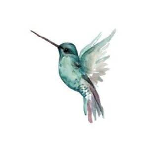 Days of Bloom Wenskaart Kolibri