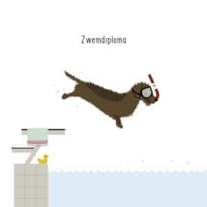 Frits Wenskaart Zwemdiploma