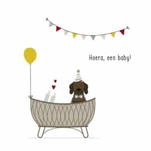 Frits Wenskaart Hoera, een baby!