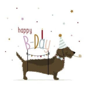 Frits Wenskaart Happy B-day
