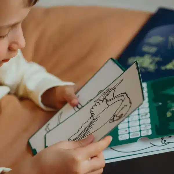 KidyWolf Refill KIDYDRAW Animals over the World & Oceans and Pirates