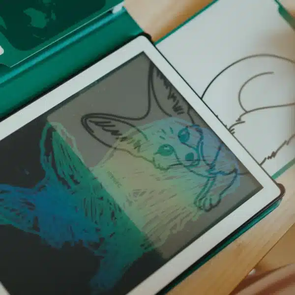 KidyWolf Refill KIDYDRAW Animals over the World & Oceans and Pirates