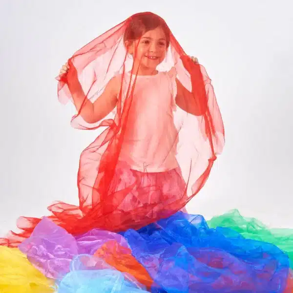 Tickit Regenboog Organza