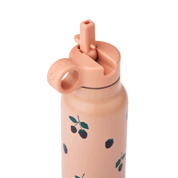 Liewood Liewood Falk Water Bottle 350 Ml Berry / Pale Tuscany 5715493474881 Liewood Verzorging Eten & Drinken Lunchbakjes & Drinkbekers Wijs west