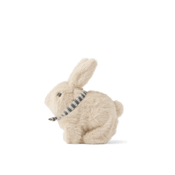 Liewood Liewood Dev Rabbit Motoric Teddy Mist 5715493482596 Liewood Speelgoed & Spellen Knuffels  Wijs west