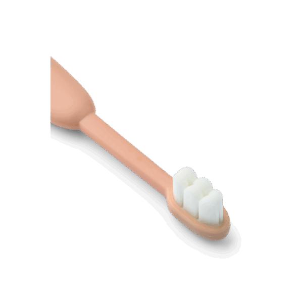 Liewood Liewood Fabio Classic Toddler Toothbrush Pale Tuscany / Sandy 5715493492847 Liewood Verzorging Wassen & meer  Wijs west