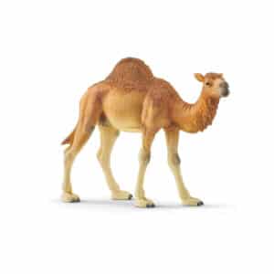 Schleich Wild Life Dromedaris