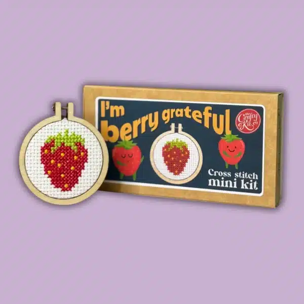 Mini Lucifersdoosje Borduur Kit - I'm Berry Grateful