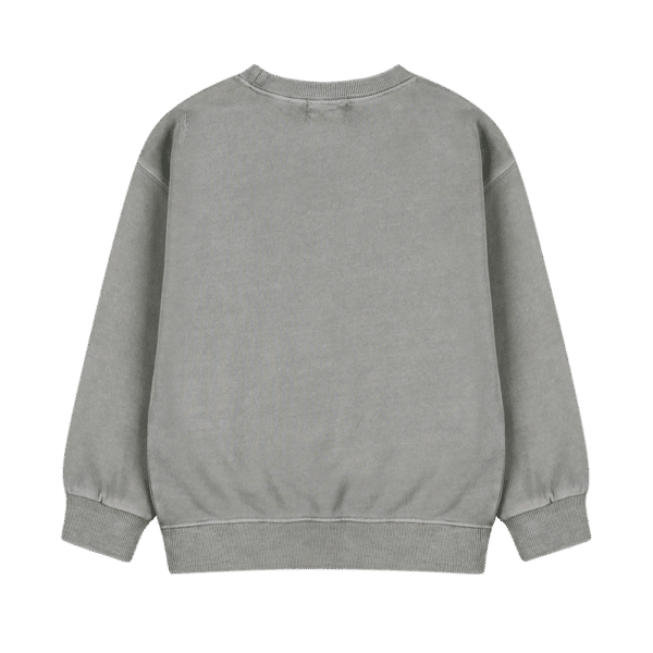 Jelly Mallow Jelly Mallow Check Mate Pignment Sweatshirt Gray 8800286538356 Mellow AW25 Kleding & Accessoires Sweaters & Truien  Wijs west