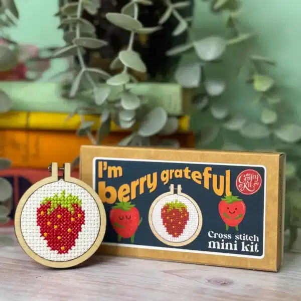 Mini Lucifersdoosje Borduur Kit - I'm Berry Grateful