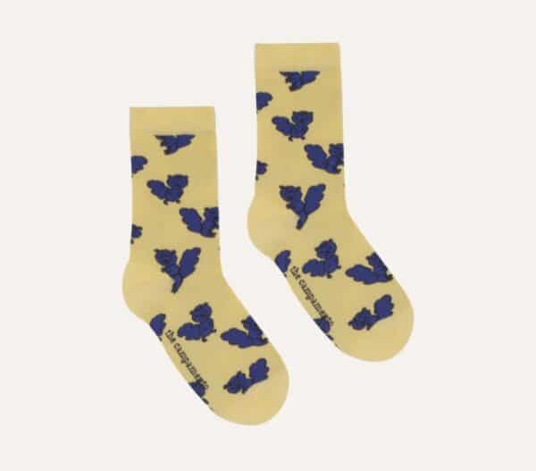 The Campamento The Campamento Blue Squirrels Kids Socks 8435619493387 Aw25 Campa Kleding & Accessoires Sokken & Maillots  Wijs west