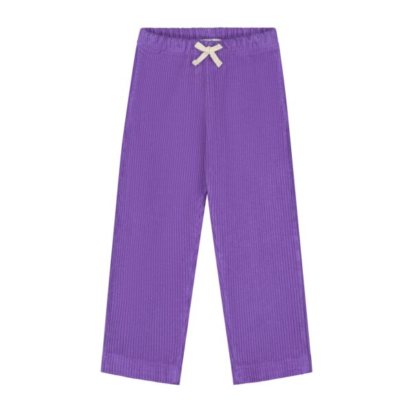 Yuki Kidswear Yuki Kidswear Corduroy Trousers Beau - Amethyst 8721354500832 Yuki AW25 Kleding & Accessoires Broeken  Wijs west