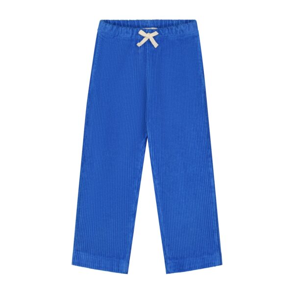 Yuki Kidswear Yuki Kidswear Corduroy Trousers Beau - Cobalt 8721354500771 Yuki AW25 Kleding & Accessoires Broeken  Wijs west