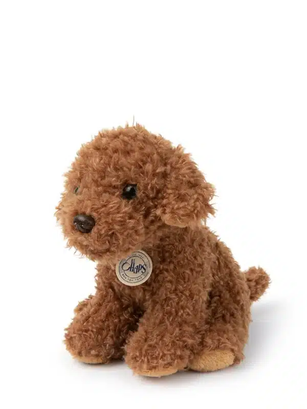 B.T. Chaps Stacy the Labdradoodle in giftbox