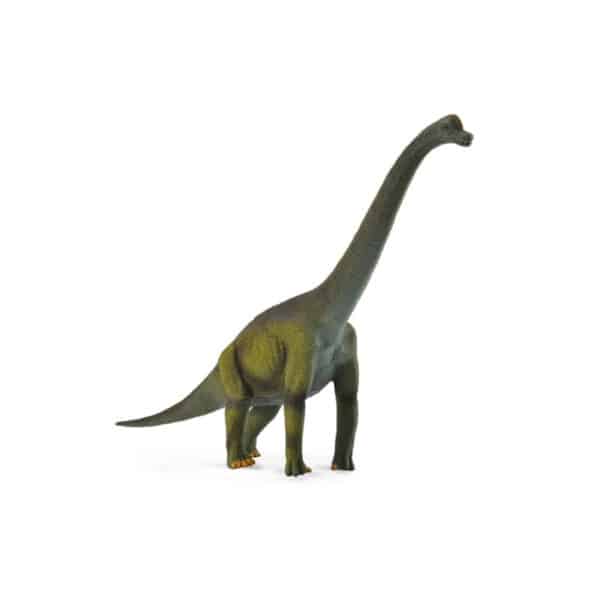 Collecta Prehistorie Brachiosaurus