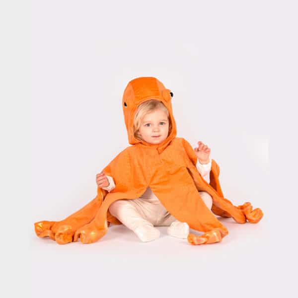Den Goda Fen Cape Octopus
