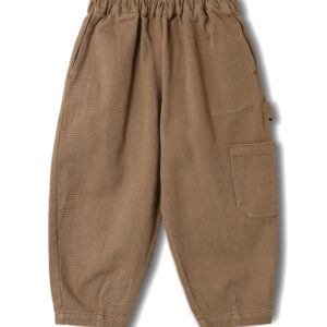 Fliink Fliink Duna Cargo Pant Pine Bark 5715435098199 Fliink AW25 Kleding & Accessoires Broeken  Wijs west