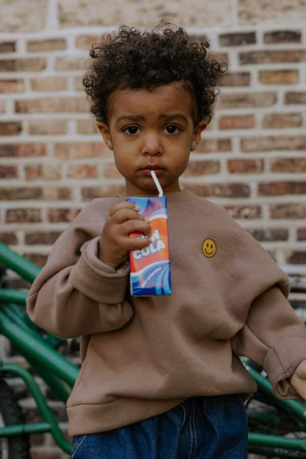 Fliink Fliink Alvin Ls Smiley Sweatshirt Pine Bark 5715435118422 Fliink AW25 Kleding & Accessoires Sweaters & Truien  Wijs west