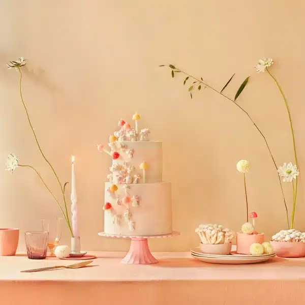 Meri Meri Mushroom Birthday candles