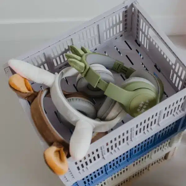 KidyWolf KIDYEAR Dino