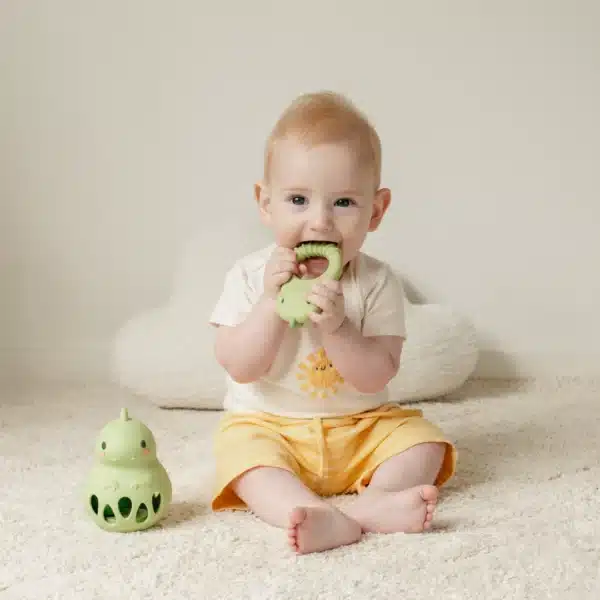 Tiger Tribe Silicone Rattle - Dino