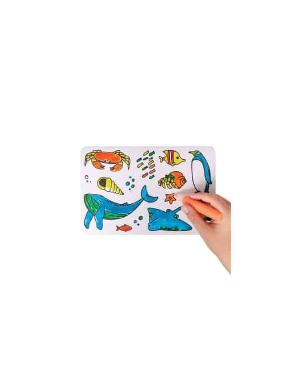 Brainstorm - Colour your own sticker - Sea Creatures
